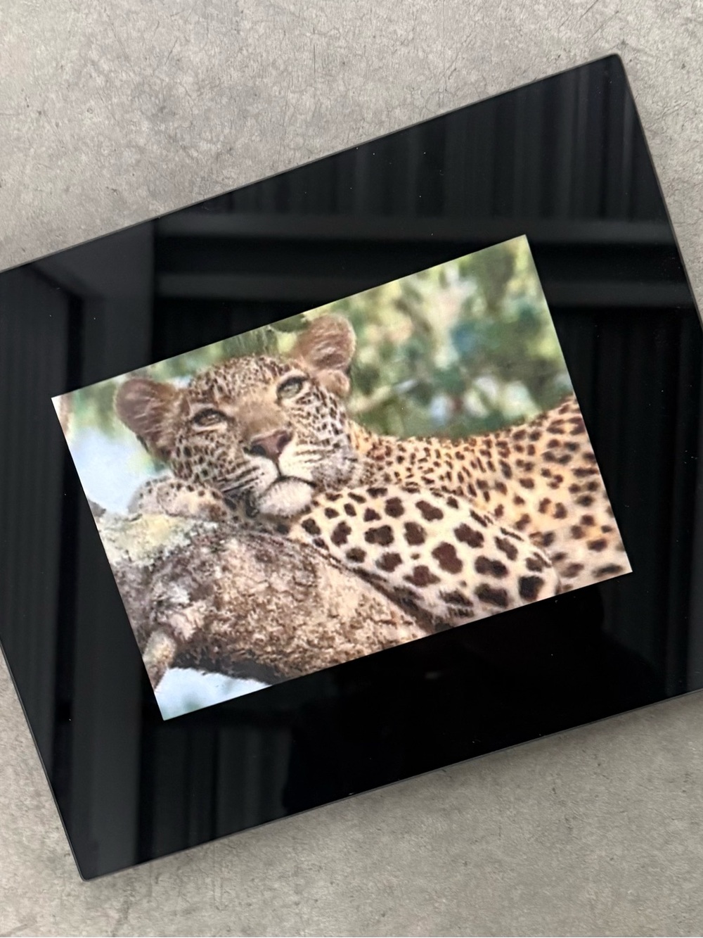 Black Glass Photo Frame for 5x7” Photo